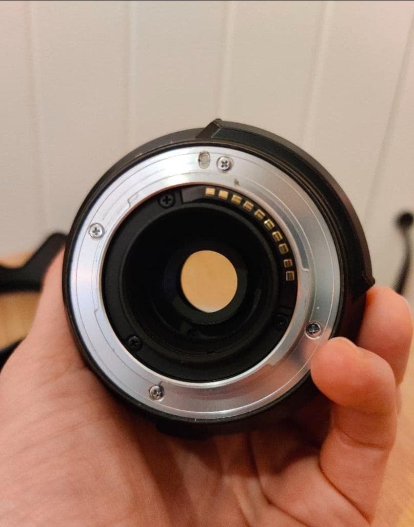 FUJIFILMフジフイルムXT4 XF16-80mm f/4 R OIS WR