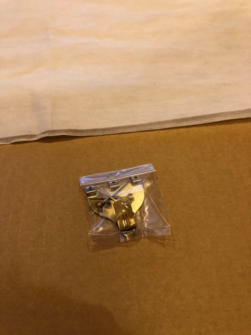 アールビバン版画　孫家珮『光の訪れ』