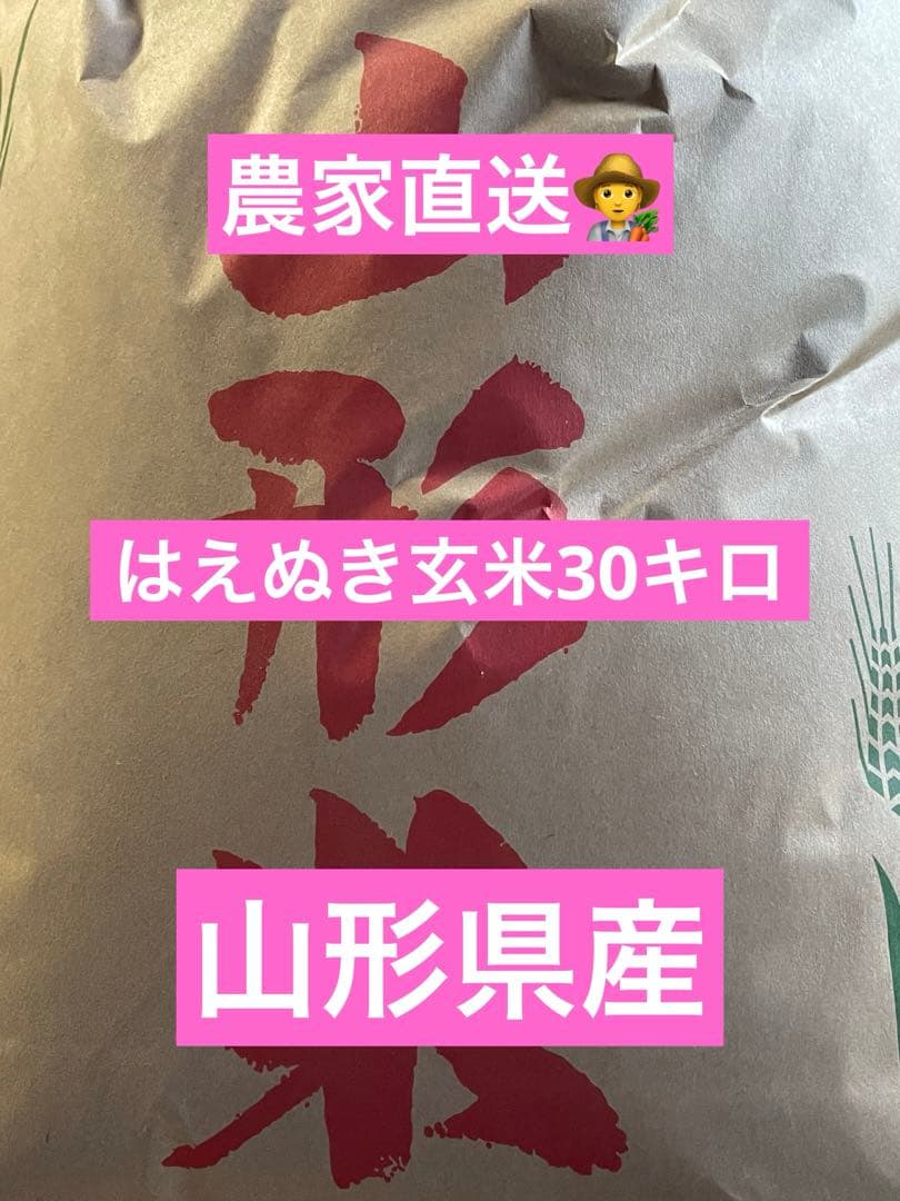 令和7年産 はえぬき玄米30キロ