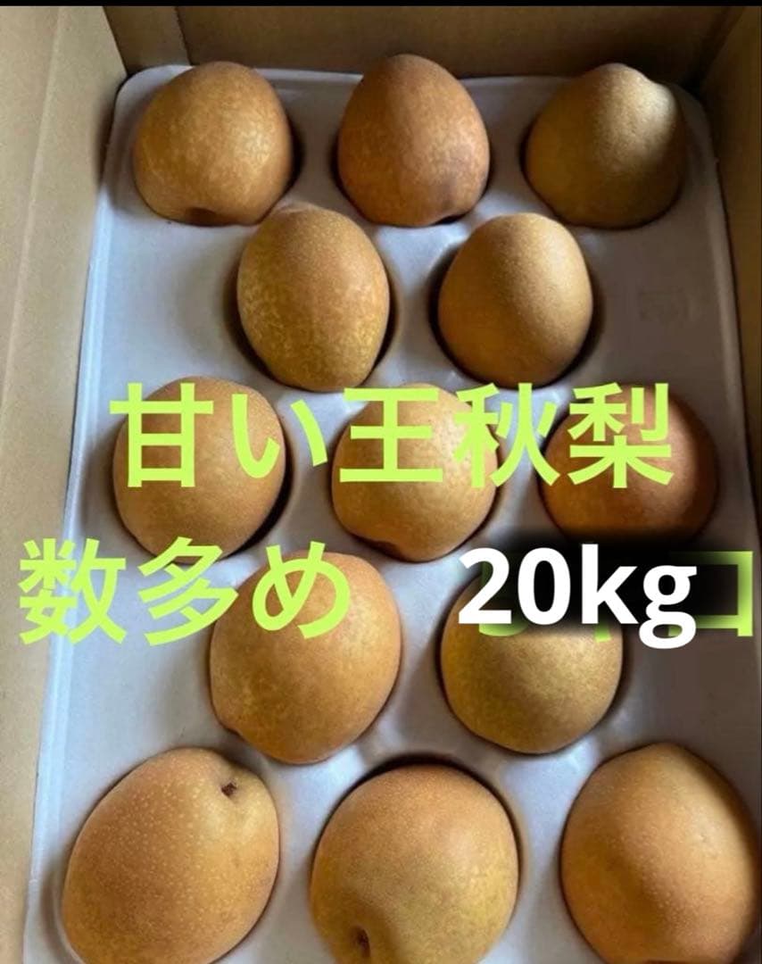 HIRA　甘い王秋梨　20kg
