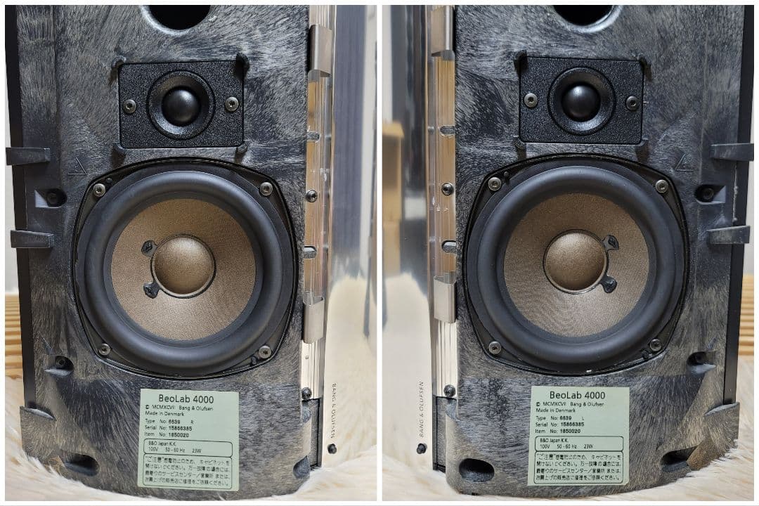 B&O BeoCenter 2, 天然木製ケース付きBeolab 4000