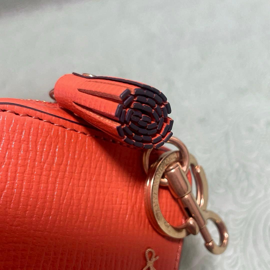 ANYA HINDMARCH アニヤハインドマーチ ケース チャーム