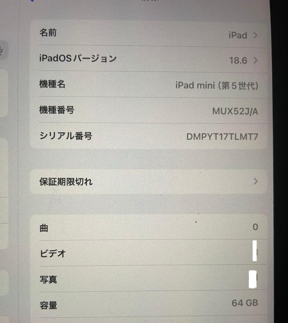 アップル　iPad mini 5 Cellular 64GB 本体のみ