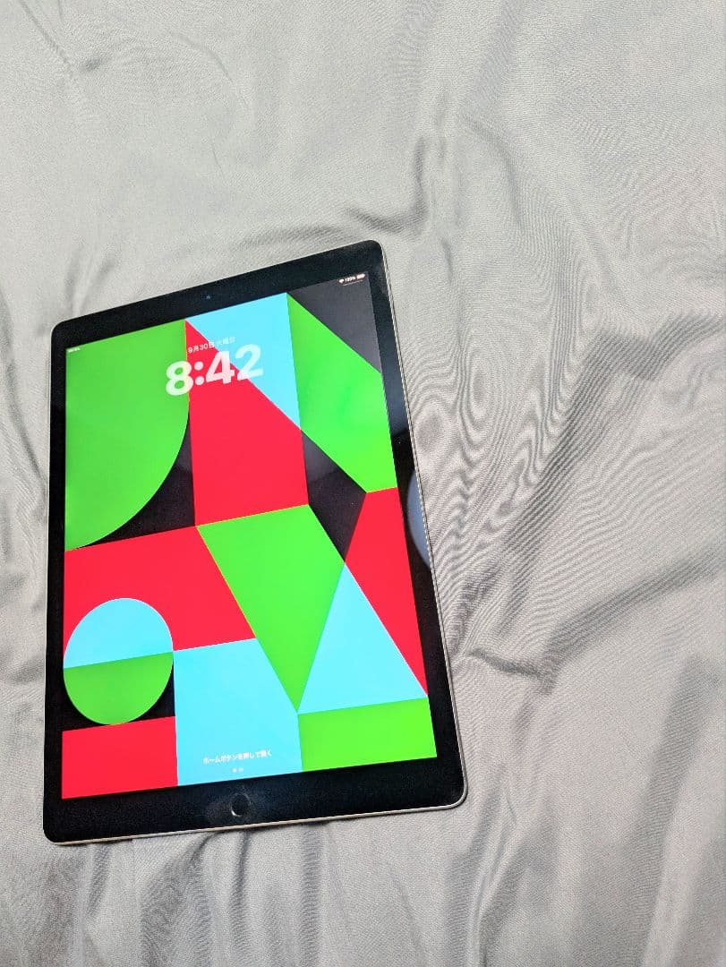 iPad Pro 12.9インチ 第2世代 64GB色ムラ変色なし。
