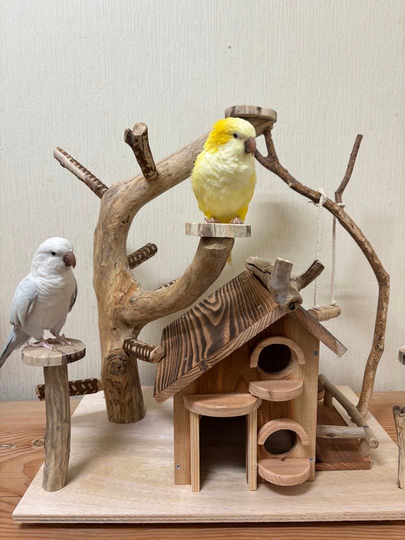 鳥インコ止まり木 流木バードアスレチック 大サイズバードジムバードトイパーチ