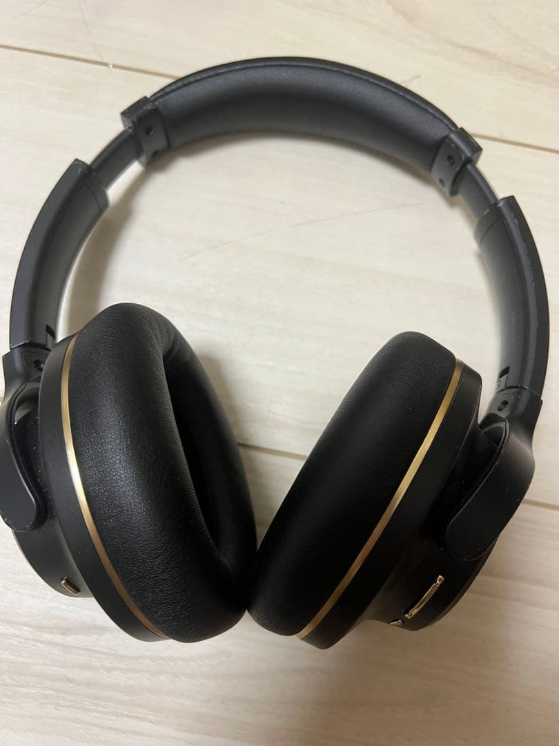 AVIOT WA-V1-PNK ピッドホン3 ピエール中野監修モデル