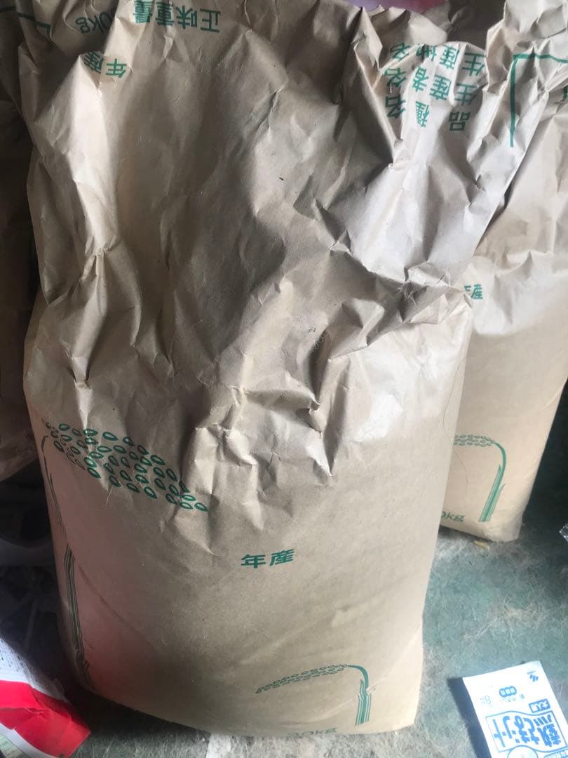 徳島県産きぬひかり