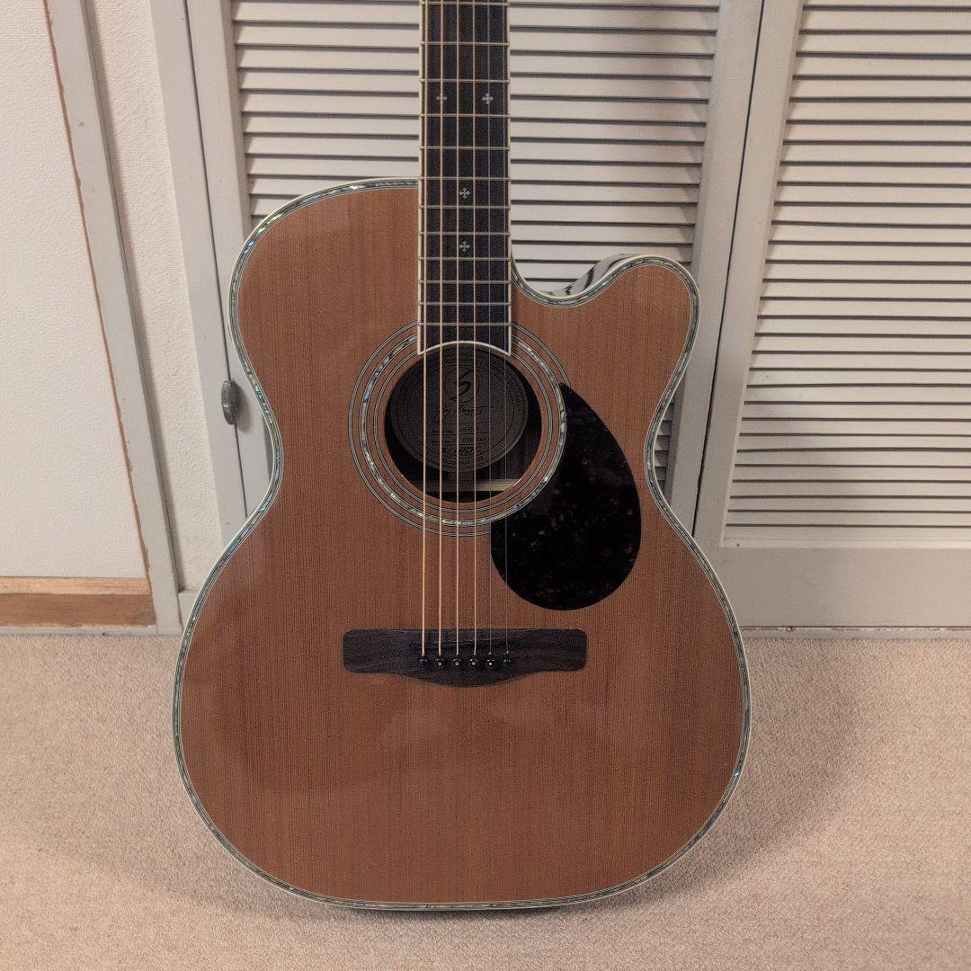 Greg Bennett / OM8CE トップ単板 エレアコ 美品