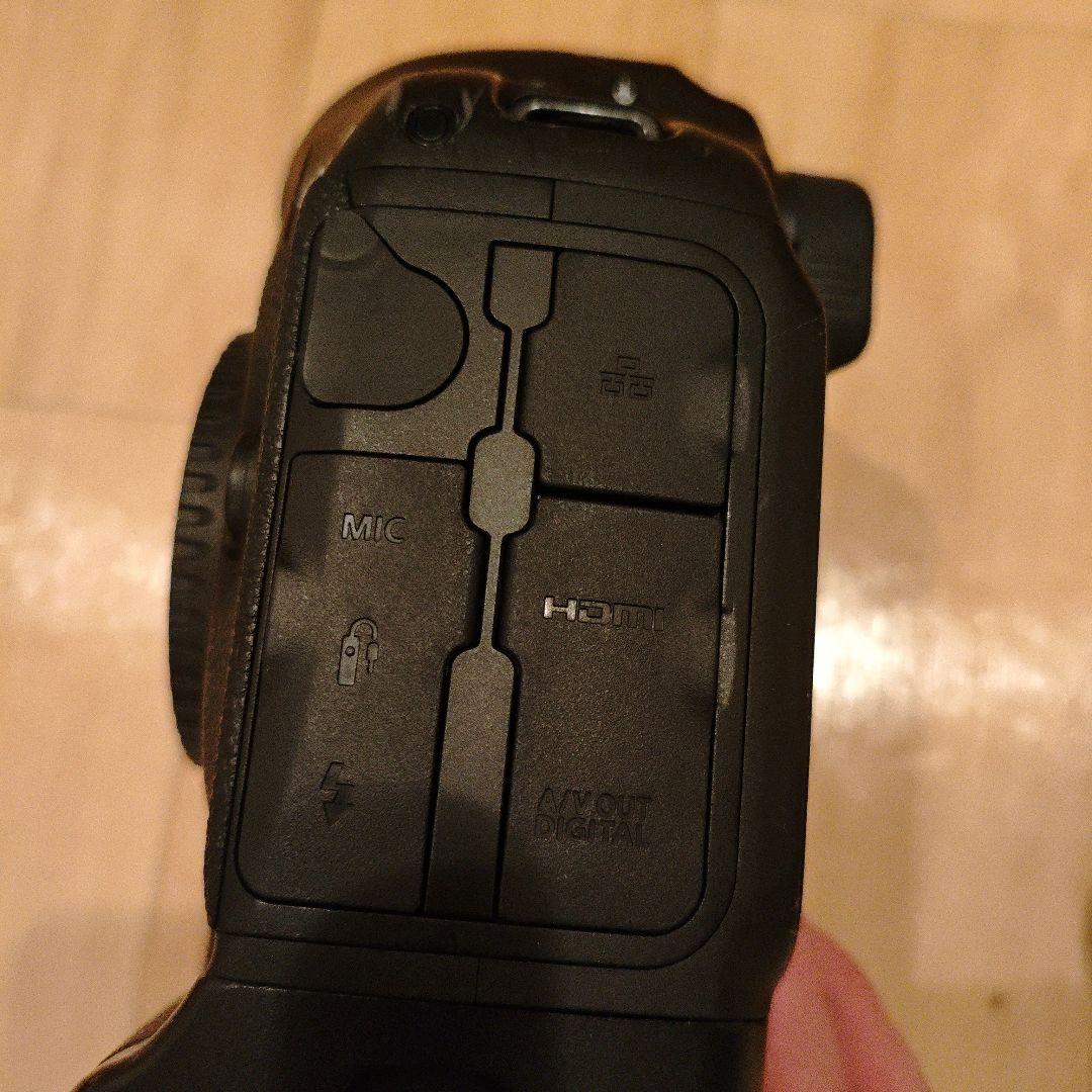 Canon EOS-1D X 本体 バッテリーCFカード2個付