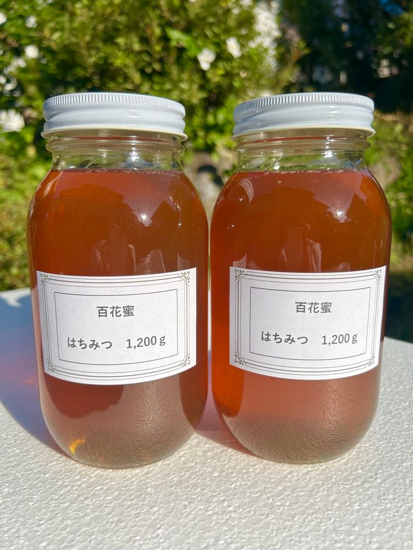 信州産　6月のはちみつ　1,200g×2本　野薔薇やトチノキなど　これで最後です