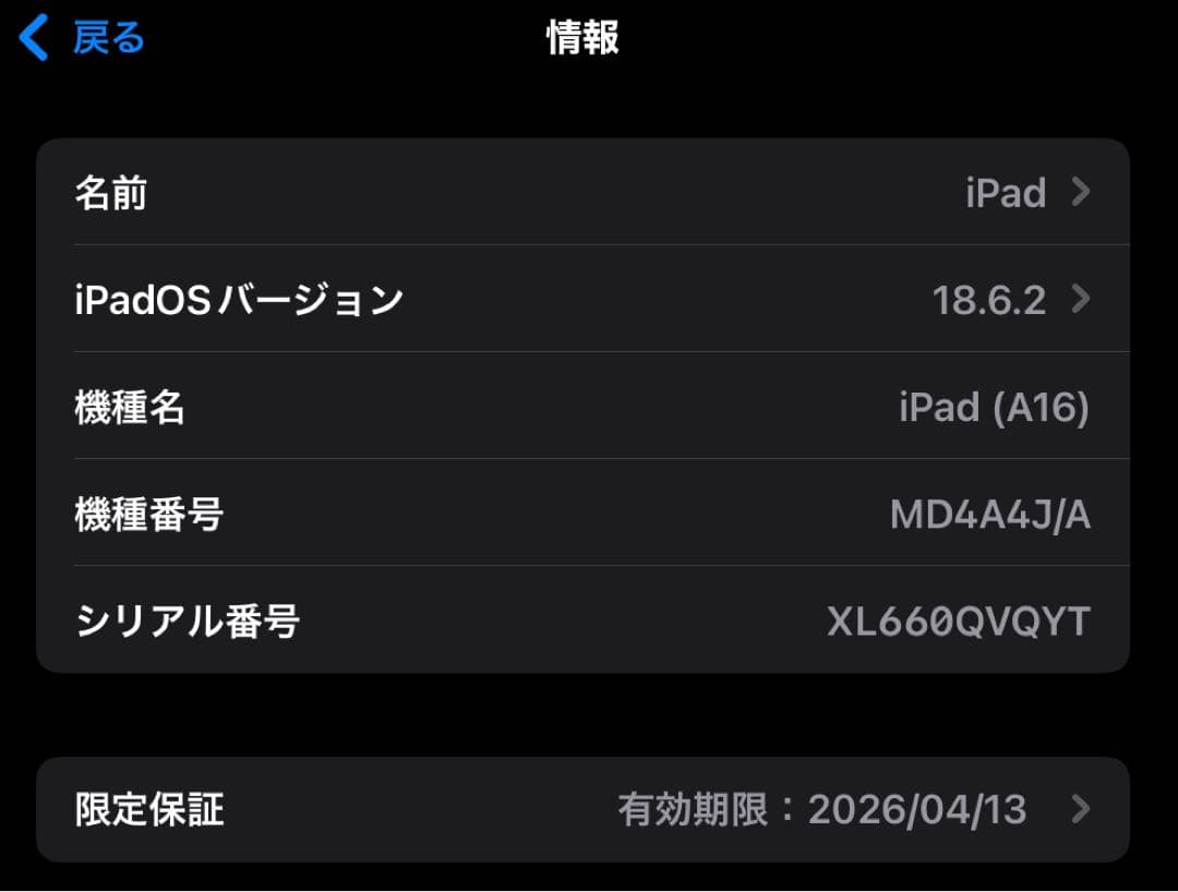 Apple iPad第11世代　A16 本体 128GB Wi-Fiモデル