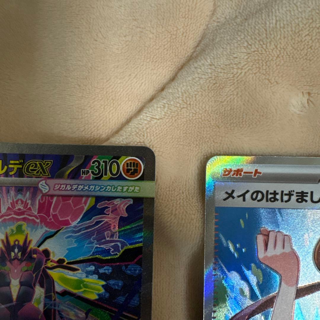 ポケモンカード　メガジガルデex SAR メイのはげまし　SR