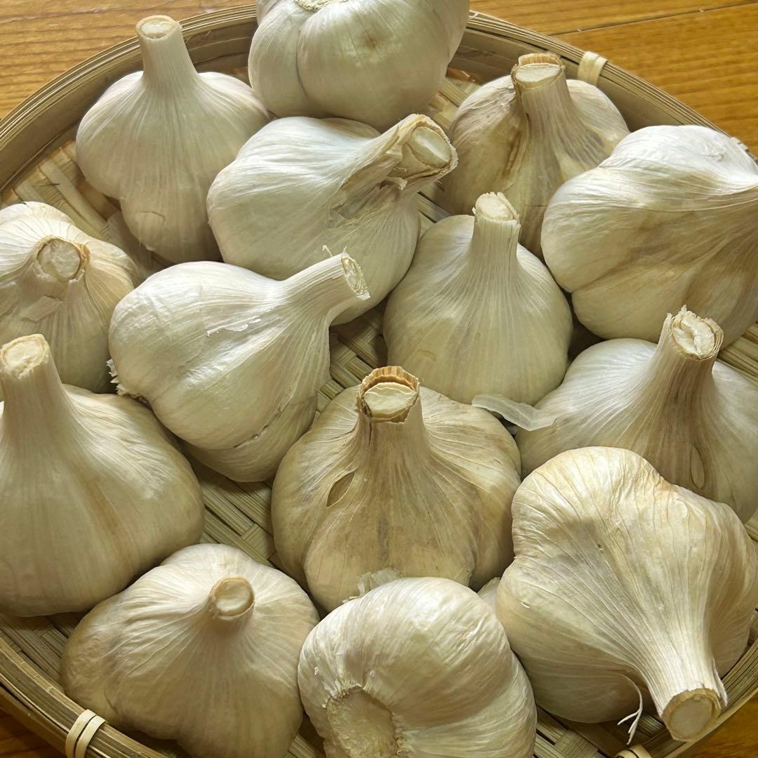 【お買い時】青森県産にんにく M 20kg福地ホワイト六片 激安 家庭用 加工用