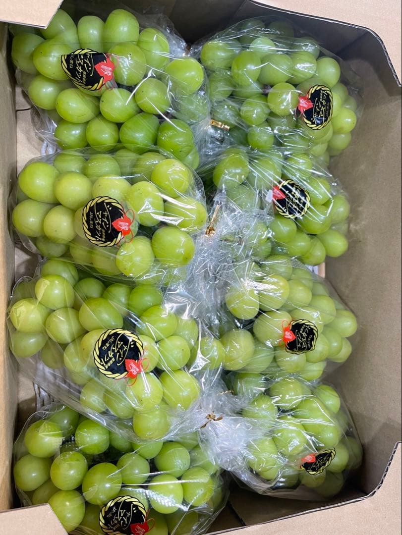 ⑤【島根県産】シャインマスカット約5キロ(8房)