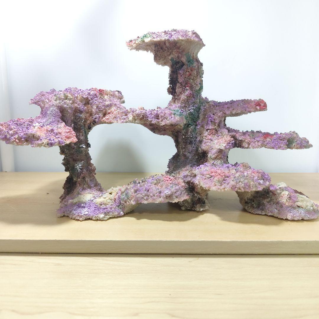 ❖新品アク抜き不要 人工ライブロック 60cm海水水槽用 レプリカ 多孔質安い1