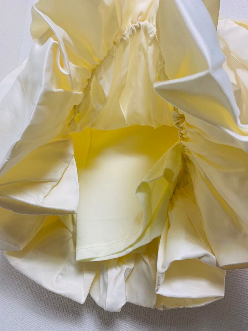 THE TOÉ (ザ・トゥー)Venice Balloon Skirt