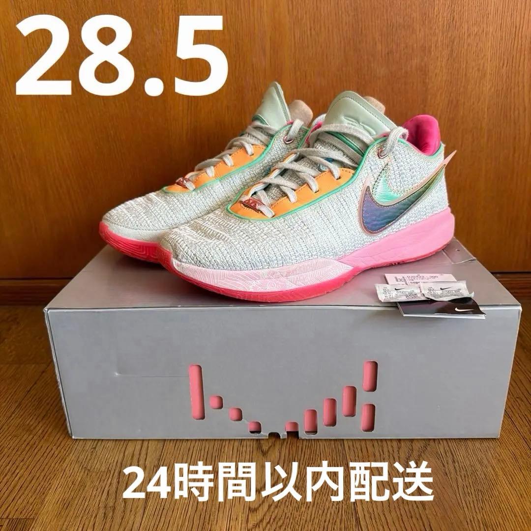 NIKE LEBRON XX EP レブロン20タイムマシーン28.5cm