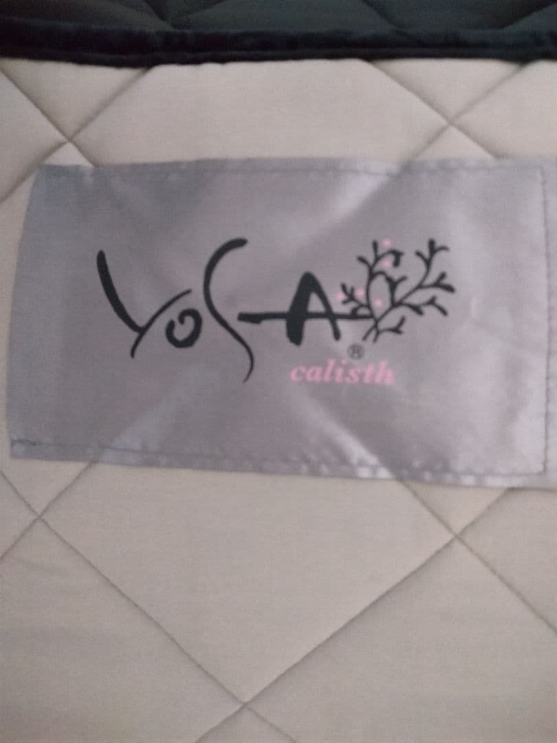 k.・.☆ カーリスマット