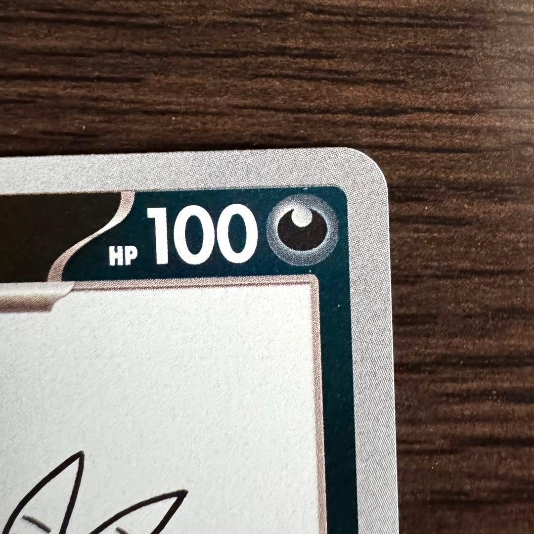 c*o様 ブラッキー　YU NAGABA