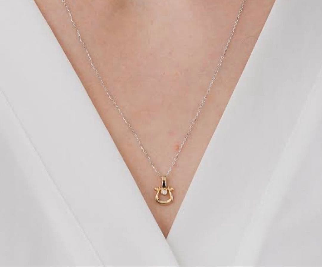 a*m様 スタージュエリー　バックル　ネックレス　チャーム　ピアス　ブレスレット