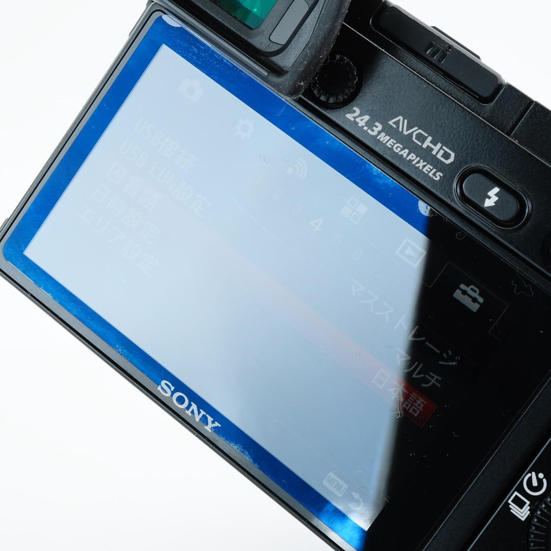 S317枚 極美品 SONY ミラーレス α6000 ILCE-6000L
