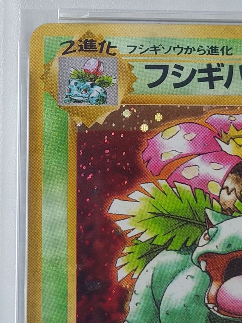 フシギバナ 旧裏 とりかえっこプリーズ PSA8