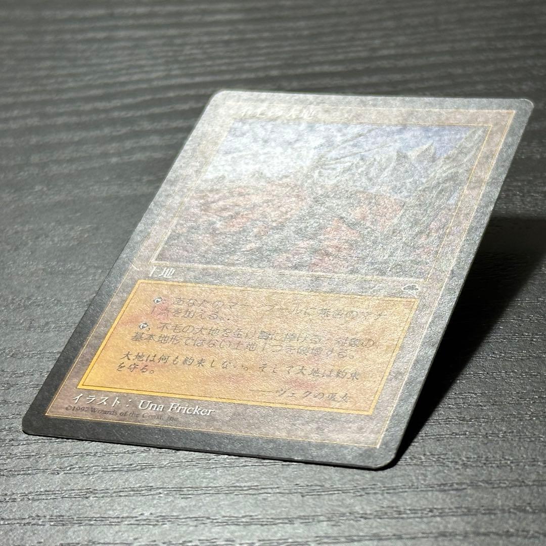 MTG 不毛の大地 日本語 初版 3枚