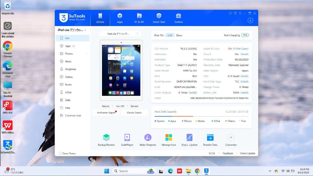 Apple iPad 第7世代 バッテリー最高容量100%