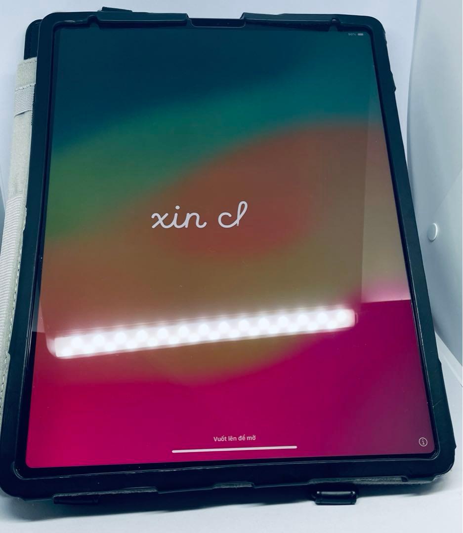 今だけ/iPad Pro 12.9 第4世代 256GB WiFiモデル 箱無