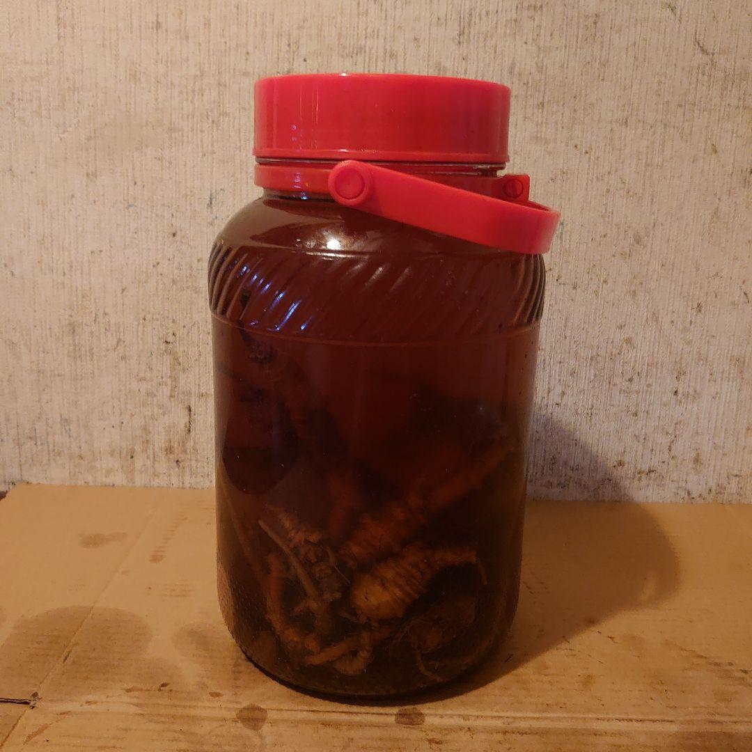 奈良県吉野山系吉野で採取りした天然物ツルニンジン酒5Ｌ入り