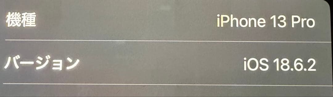 Apple iPhone 13 Pro 256GB 本体 シルバー 箱袋あり