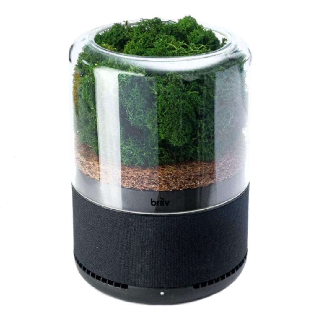 空気清浄機・イオン発生器 [FIVE Create Ltd.] Briiv Single Pack