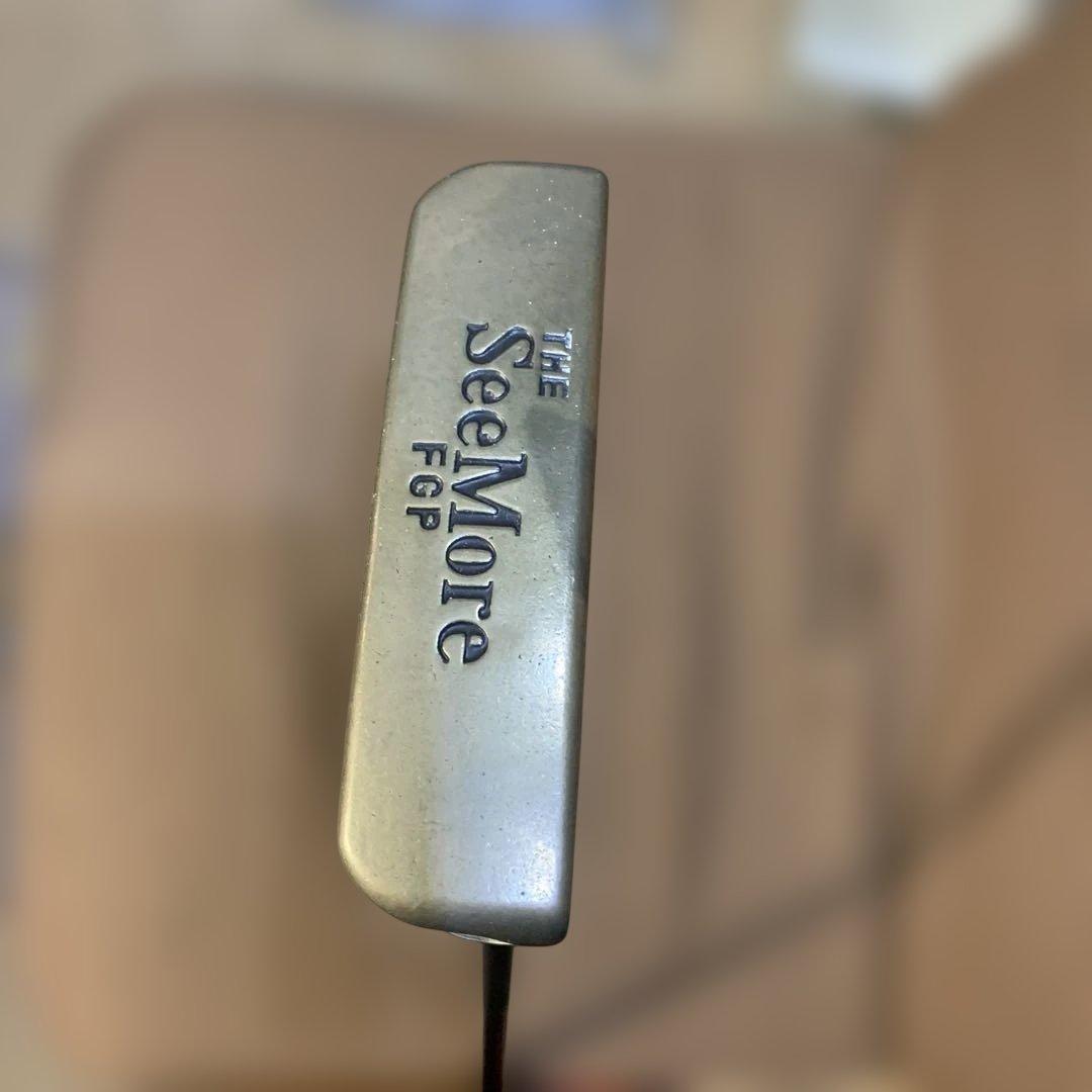 SeeMore FGP パター