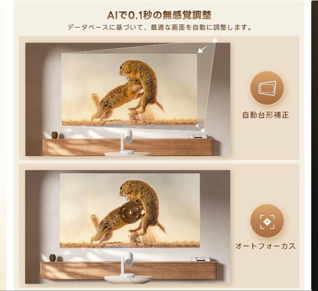 ⭐︎最安値⭐︎ 美品！　ETOE STARFISH PRO プロジェクター