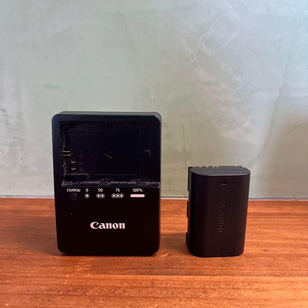 Canon EOS 80Dデジタル一眼レフカメラ・標準ズームレンズ＆単焦点レンズ