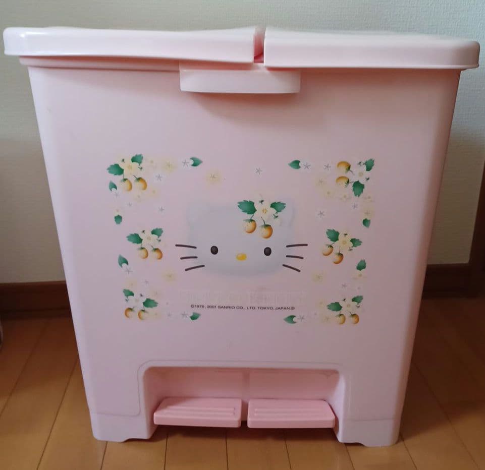 2001年　ハローキティ　野いちご　ダストボックス　サンリオ　レトロ　当時物