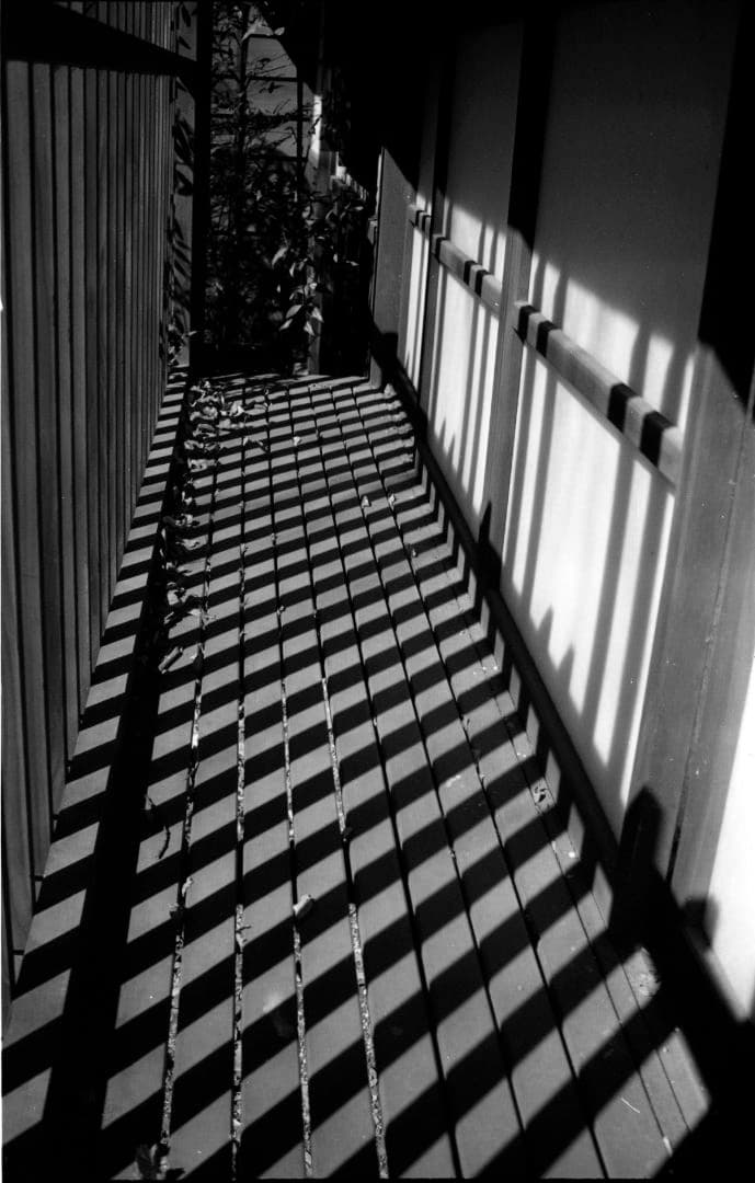 切れ者です、オリンパスのブリッジカメラ「IZM300」