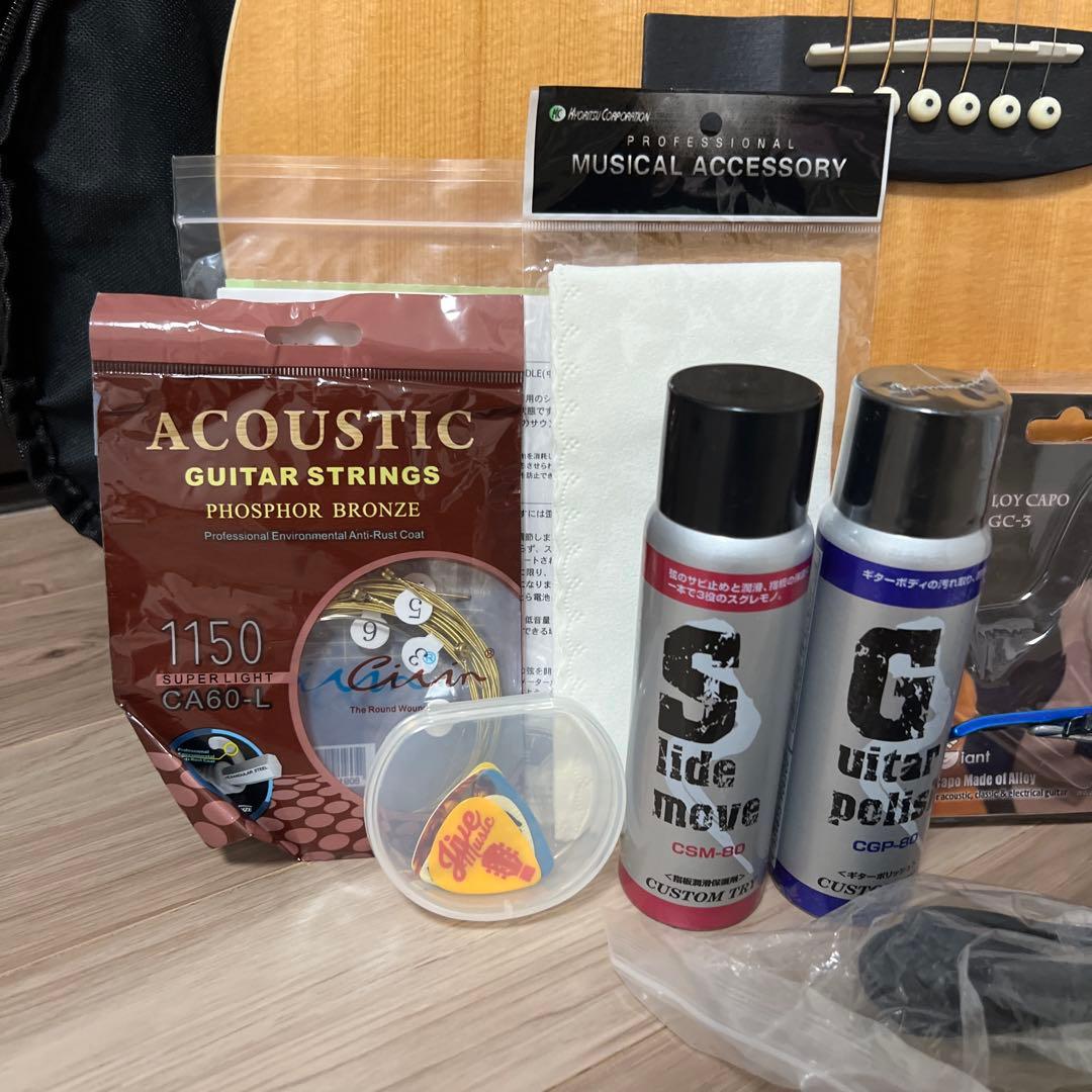 Sepia Crue エレアコ ギター EAW-01 N セピアクルー