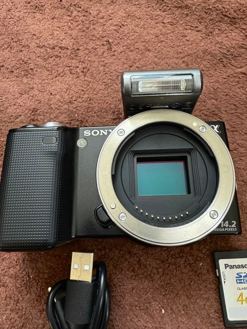 SONY NEX-5 + 18-55 OSS(SEL1855) SD付