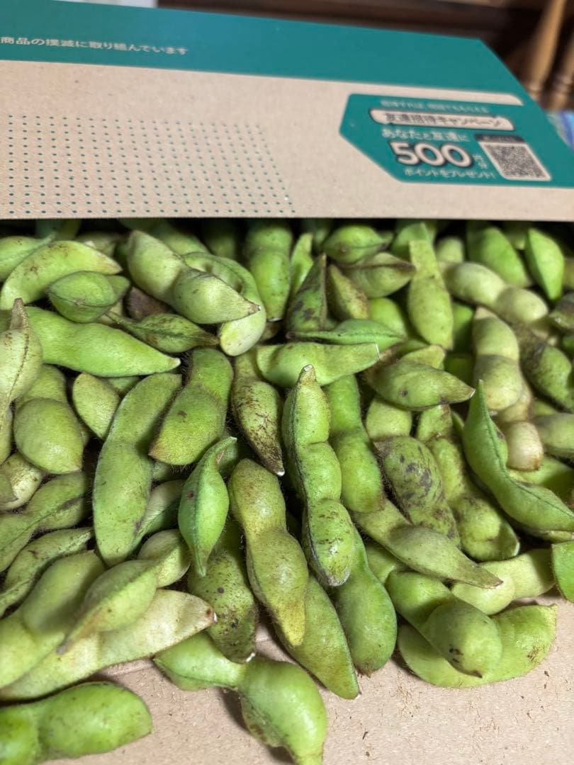 Nagidesu5kg 兵庫県丹波市産『丹波黒』の枝豆
