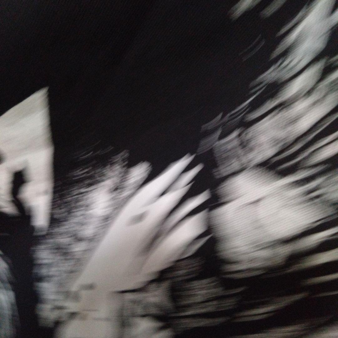 A*P様 グラニフ　鋼の錬金術師 ロングtシャツ 未使用