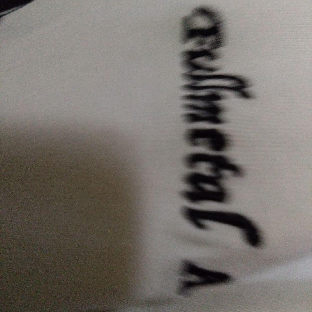 A*P様 グラニフ　鋼の錬金術師 ロングtシャツ 未使用