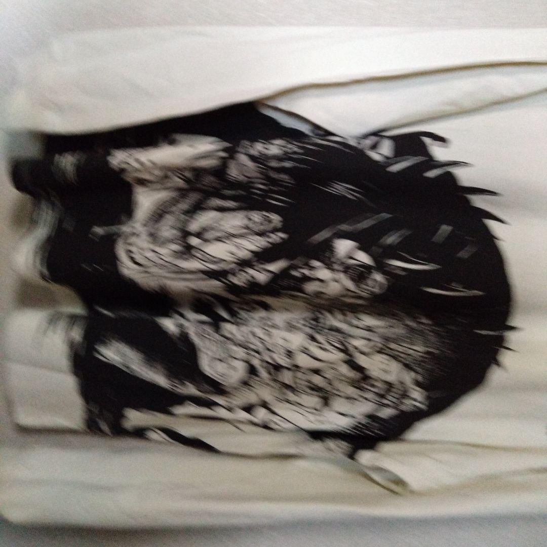 A*P様 グラニフ　鋼の錬金術師 ロングtシャツ 未使用