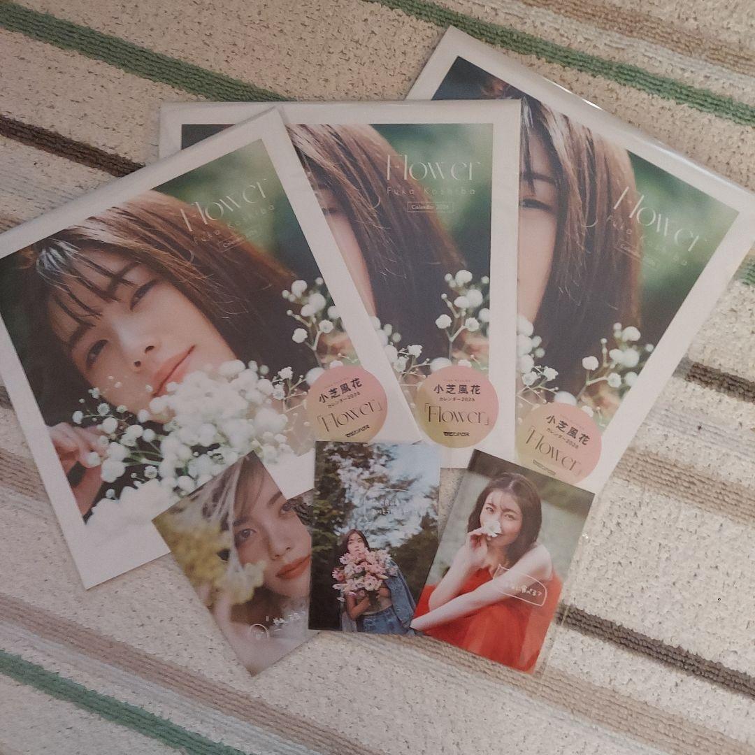小芝風花カレンダー2026「Flower」3冊限定ポストカード3枚付