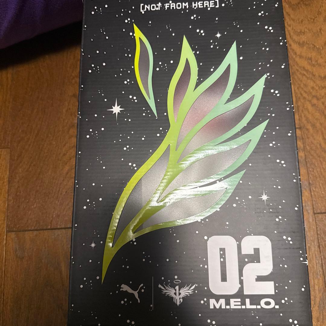 シューズ(男性用) MB2