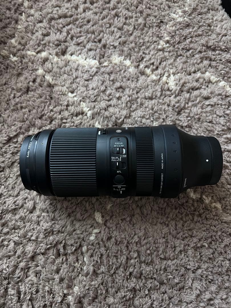 SIGMA 100-400mm F5-6.3 DG DN OS eマウント