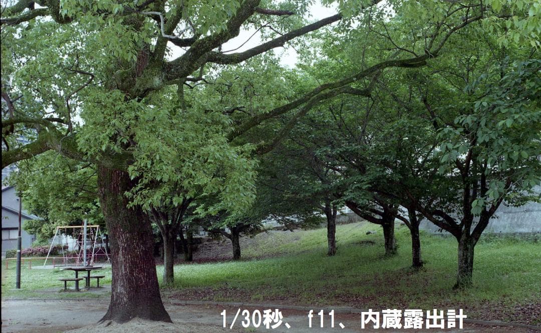 Rollei 35 シンガポール製　テッサー40ミリf/3.5　希少フィルター付