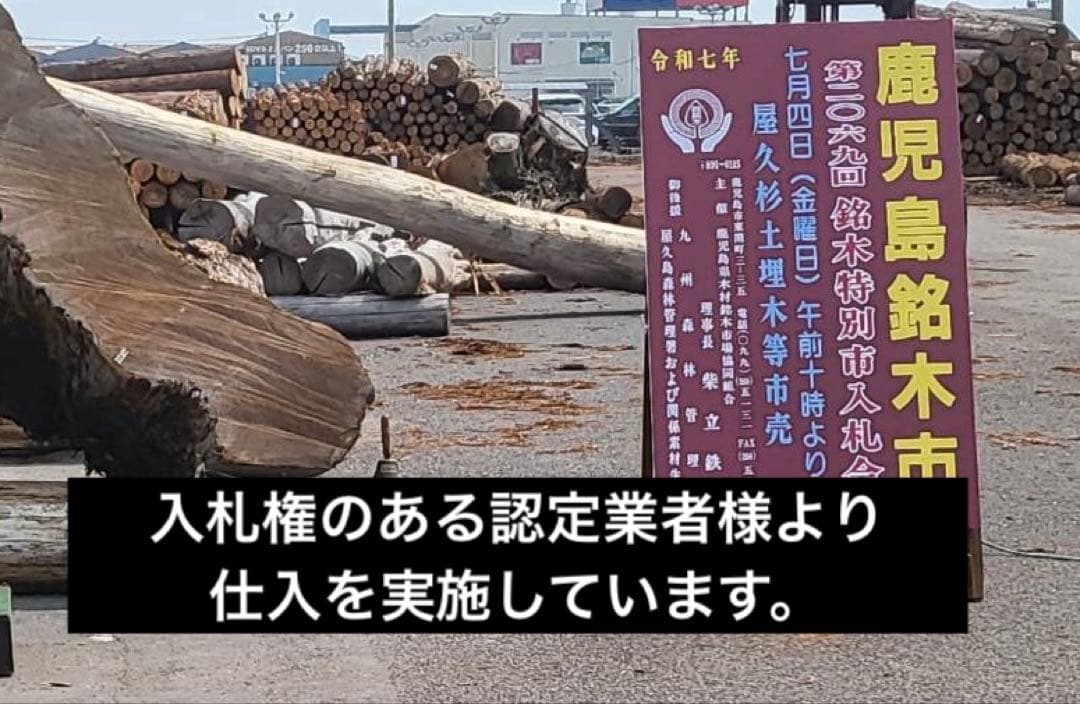 【ths】屋久杉　一枚板　長尺幅広材　ウレタン塗装