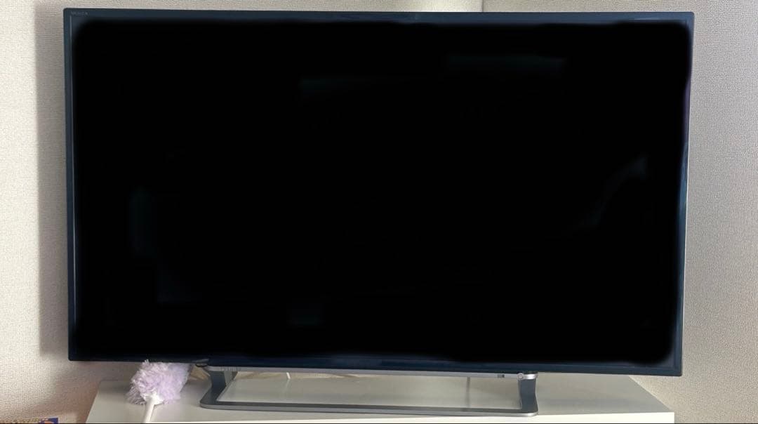 TOSHIBA REGZA 43G20X 液晶テレビ 43型