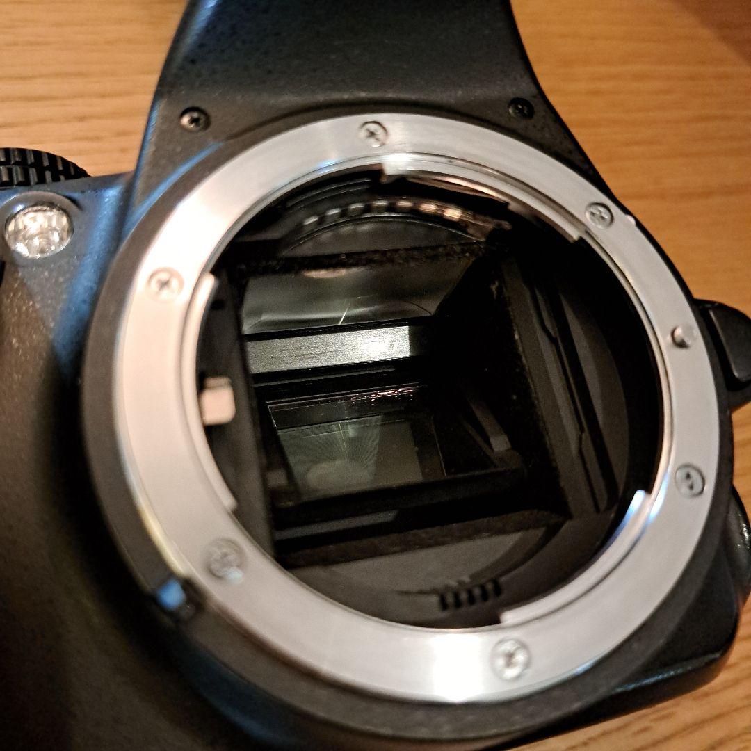 Nikon D3100ダブルズームキット